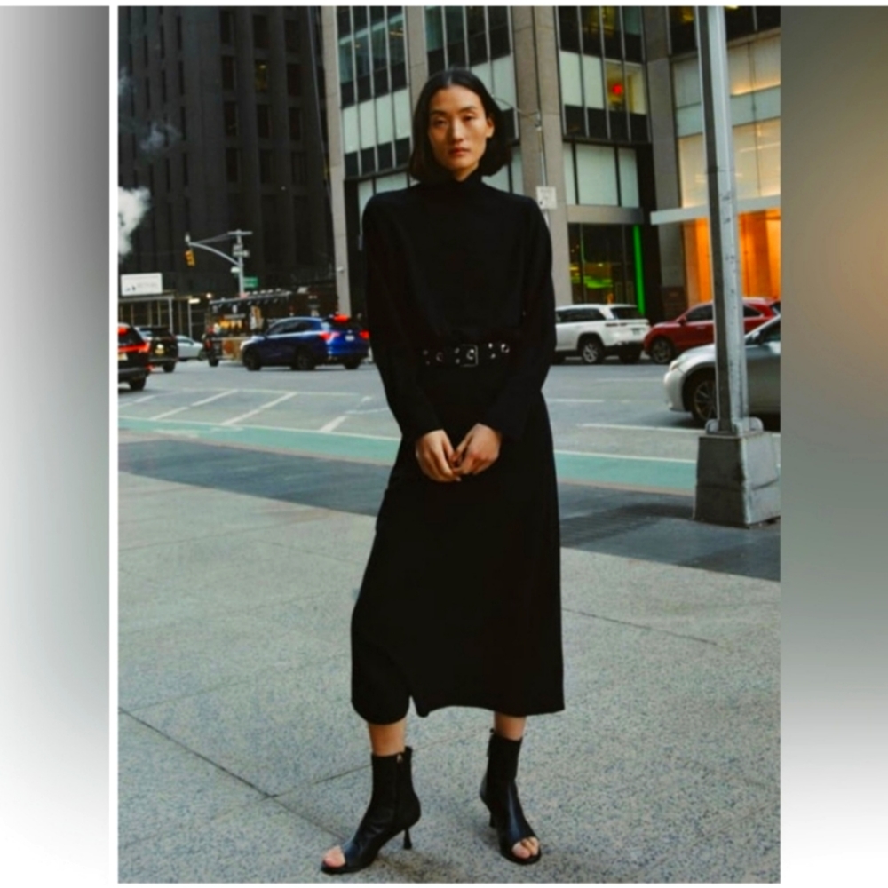 Nwt zara high neck midi dress
